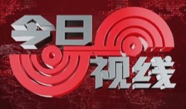 爆料今日视线最新消息,最新热点事件深度解析
